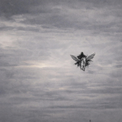 სხეულის მახსოვრობა