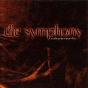 Just Paranoid by Die Symphony