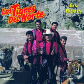 Decepción by Los Tigres Del Norte