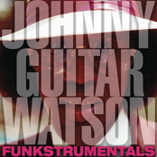 Bow Wow by Johnny 'guitar' Watson