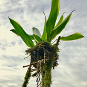 You've Been Here Before