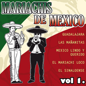 Mariachis De Mexico Vol.1