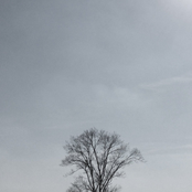 Far Wind (2012-2014)