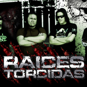 raices torcidas