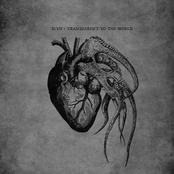 Transparent To The World (Demo)