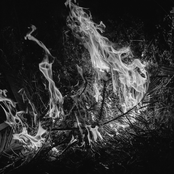 Nahnu Ahraru Al Shaam