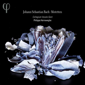 Bach: Motetten
