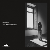 Beautiful Soul