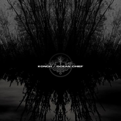 Kongh/Ocean Chief split