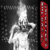 Bipedal / No Feathers EP