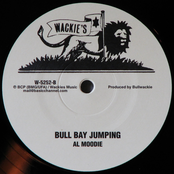 Money Money / Bull Bay Jumping