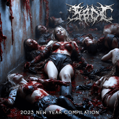 SBDC - 2023 New Year Compilation