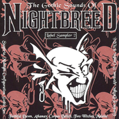 The Gothic Sounds Of Nightbreed 2