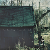 The Sapling From The Ash EP