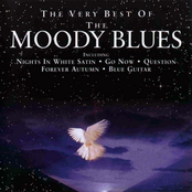 Go Now van Moody Blues