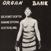 Organ Bank