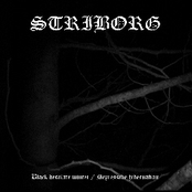 Black Animism by Striborg