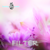 Filter