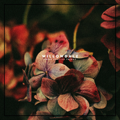 These Foolish Things