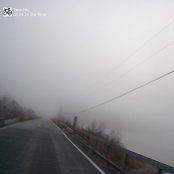 05.04.24 The Birds [tpd054]