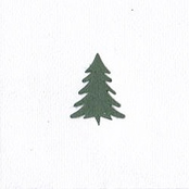 The Wood Beyond The World