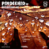 [KPMP3-012] Reflections