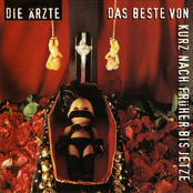 Käfer by Die Ärzte