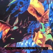 The Moon Draws The Ravenous Sea