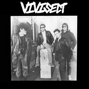 Vivisect