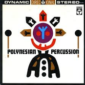 Polynesian Percussion