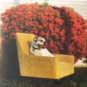 Placeholder: Placeholder // Jail Socks