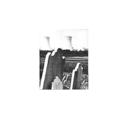 We Are The Guinea Pigs