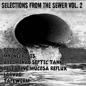 Selections From the Sewer Vol. 2