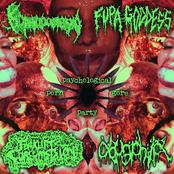 Psychological PornGore Party 4 Way Split