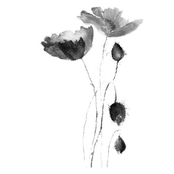 Adult.Mood.Type.Prt.1