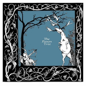 Mirror Door by The Poison Tree
