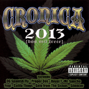 Cronica 2013