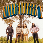 Black Horses I