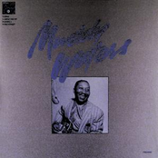 Twenty Four Hours by Muddy Waters