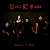 Voice of Glass