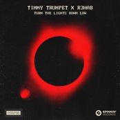 Turn The Lights Down Low - Single