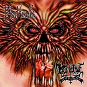 of Satan's Breed
