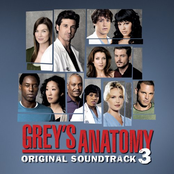 Ingrid Michaelson: Grey's Anatomy OST Season 3