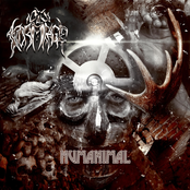 Humanimal