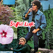 Addicus: Stupid Luck