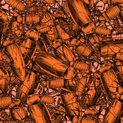 Pulling Teeth/Shin To Shin