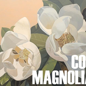 coco magnolias