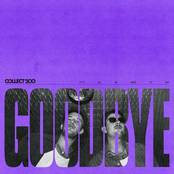 Goodbye