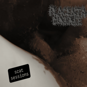 Scat Session Demo 2025