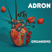 Adron: Organismo